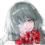 Phrolova Accounts